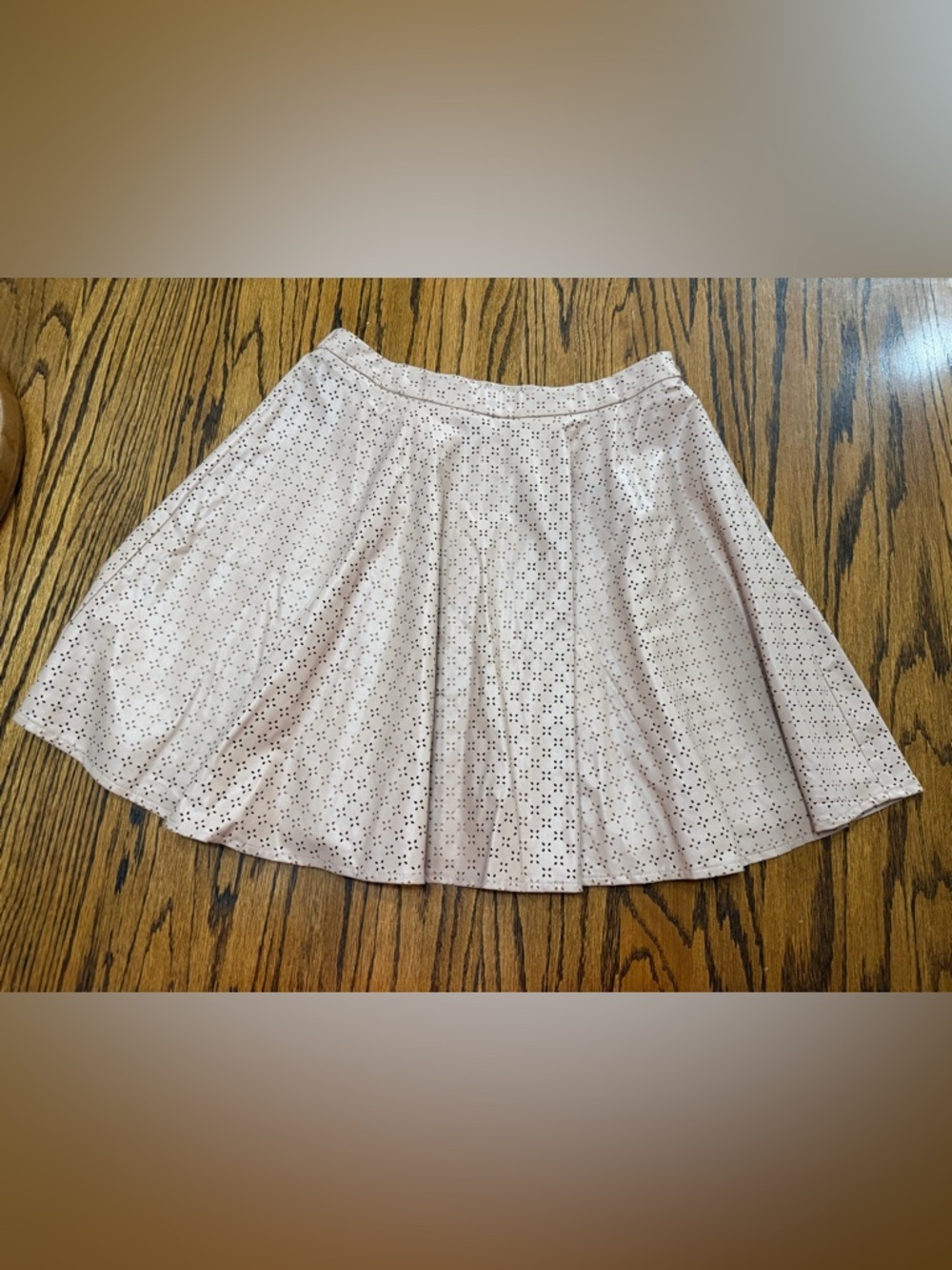Anthropologie Sunday in Brooklyn Eyelet Mini Swing Skirt Sz 8 Blush Pink/Beige - Picture 4 of 16